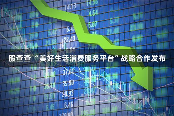 股查查 “美好生活消费服务平台”战略合作发布