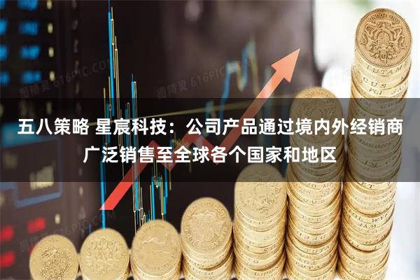 五八策略 星宸科技：公司产品通过境内外经销商广泛销售至全球各个国家和地区