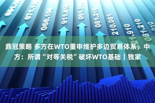 鼎冠策略 多方在WTO重申维护多边贸易体系，中方：所谓“对等关税”破坏WTO基础｜独家