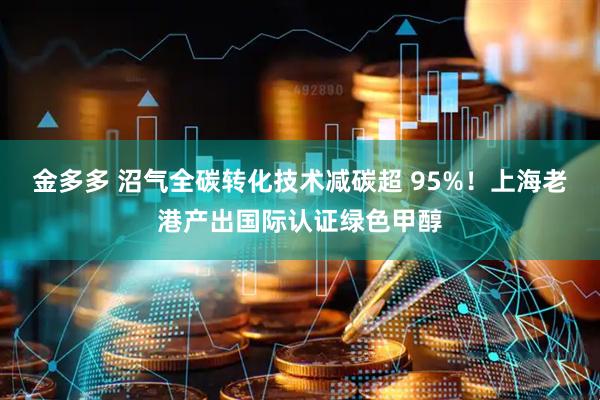 金多多 沼气全碳转化技术减碳超 95%！上海老港产出国际认证绿色甲醇