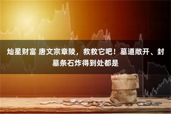 灿星财富 唐文宗章陵，救救它吧！墓道敞开、封墓条石炸得到处都是